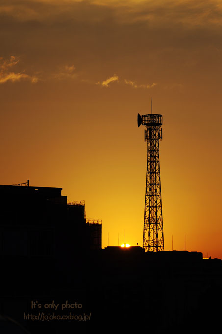 e0008800_2319302.jpg
