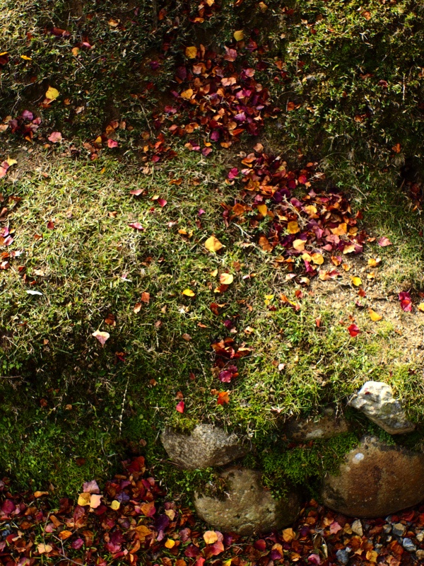 b0138101_2251255.jpg