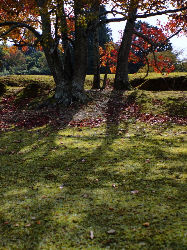 b0138101_2252377.jpg