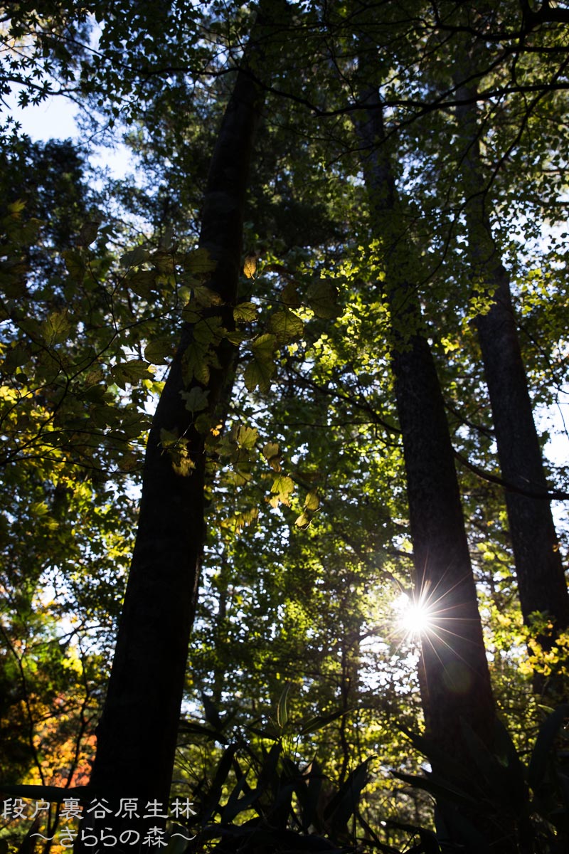 f0220502_20134179.jpg