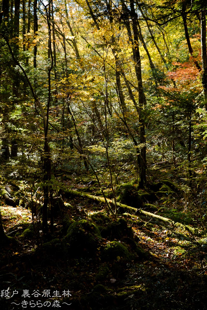 f0220502_20165635.jpg