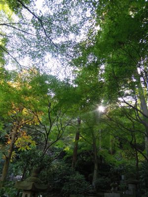 b0250907_17254650.jpg