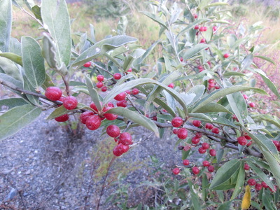 b0239909_22402380.jpg