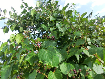 b0239909_22402593.jpg