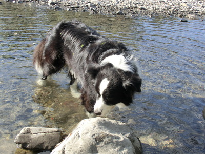 b0239909_22411560.jpg