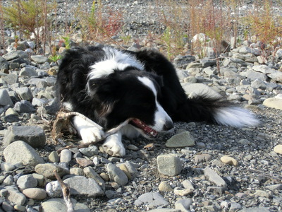 b0239909_22415062.jpg