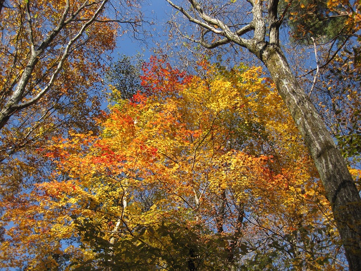 f0179209_1046320.jpg