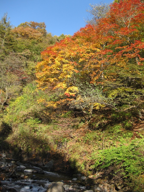 f0179209_10463241.jpg