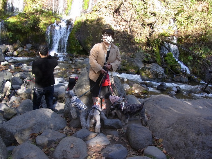 f0179209_1054161.jpg