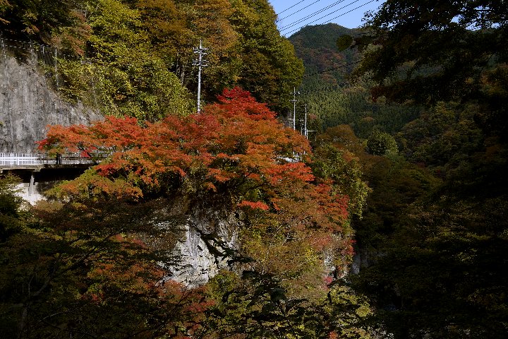 a0268412_22203474.jpg