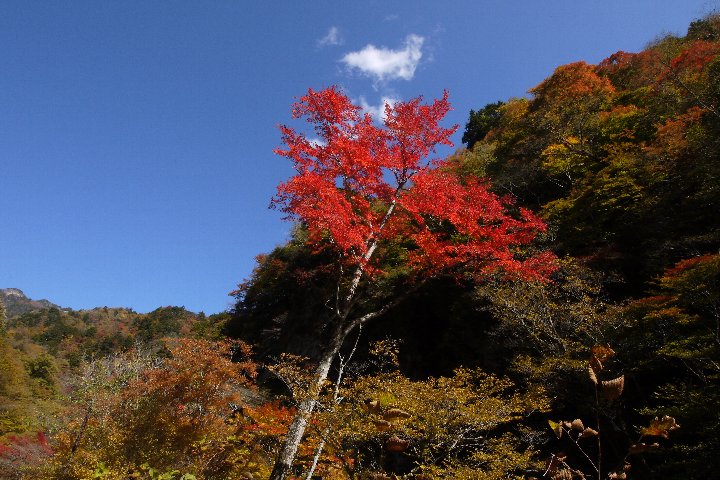a0268412_2221409.jpg