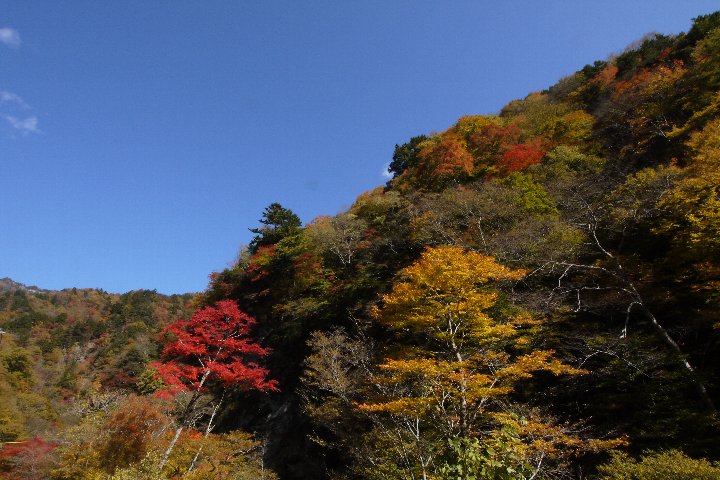 a0268412_22214217.jpg