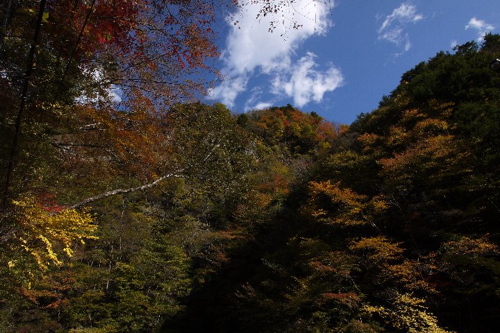 a0268412_2221543.jpg