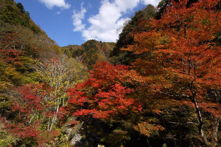 a0268412_22404925.jpg