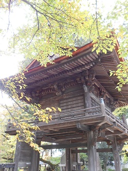 c0229312_1331851.jpg