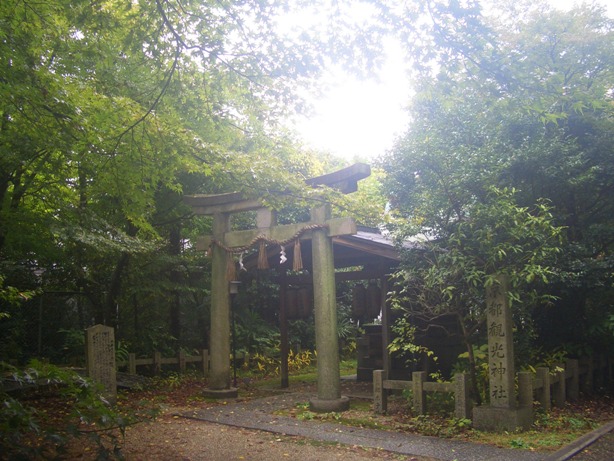 e0033713_121331.jpg