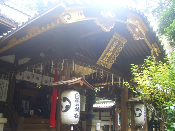 e0033713_125072.jpg