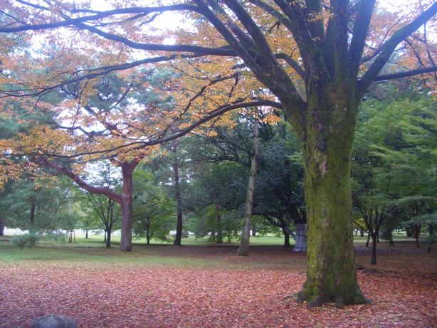 e0033713_1271293.jpg
