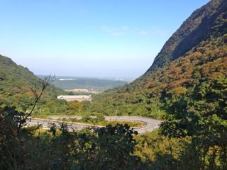 f0100920_8565559.jpg