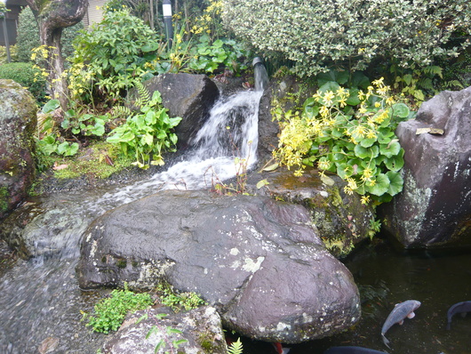 a0206332_1012578.jpg