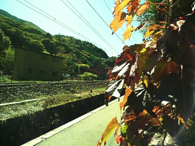 f0238332_18295666.jpg