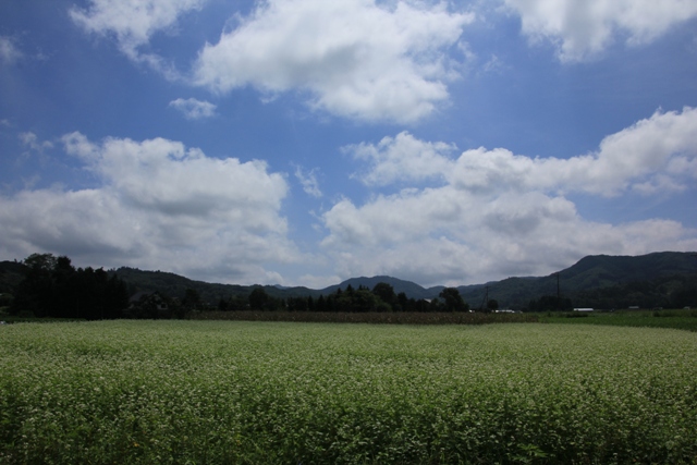 a0205834_168839.jpg