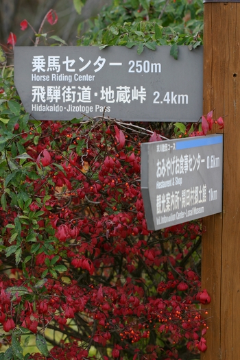 c0134734_17333395.jpg