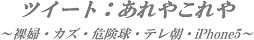 d0164636_86224.png