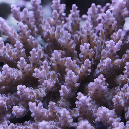 d0221436_18295167.jpg