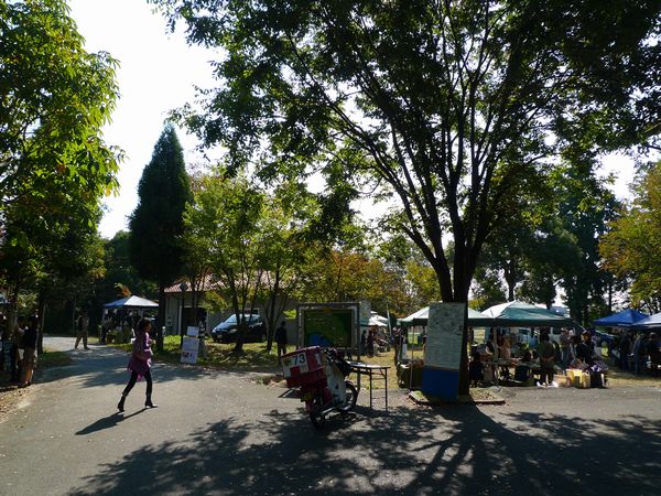 d0108737_153392.jpg