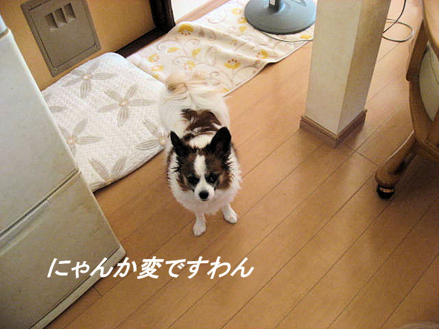 a0149240_15434131.jpg