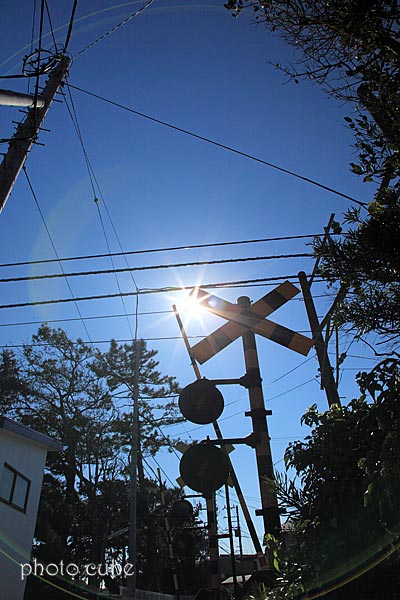 b0195043_216523.jpg