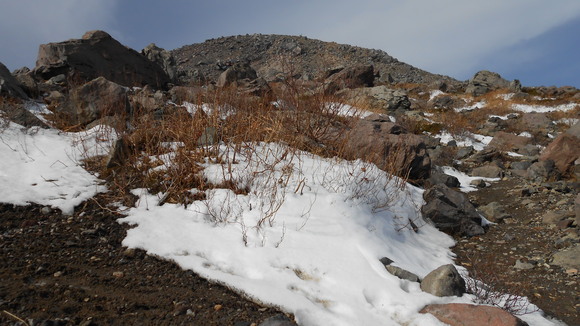 c0122445_955653.jpg