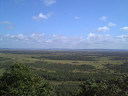 f0102245_18463783.jpg