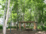 f0102245_18484456.jpg