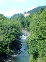 f0102245_18515328.jpg