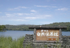 f0102245_18533683.jpg