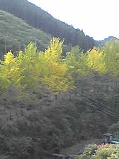 b0200747_22472645.jpg