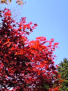 b0200747_22485846.jpg