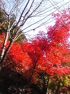 b0200747_2251311.jpg