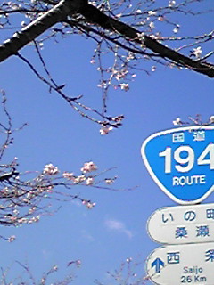 b0200747_2251474.jpg