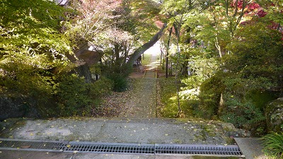 c0220047_1141493.jpg