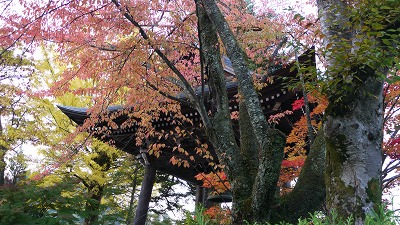 c0220047_1151573.jpg
