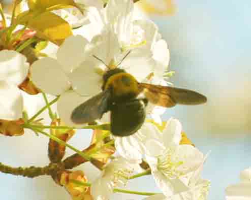 f0000148_075961.jpg