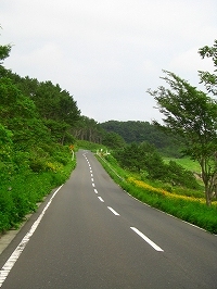 b0124552_16544629.jpg