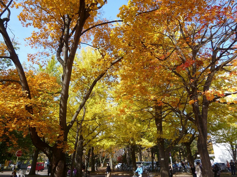 a0193457_2142548.jpg