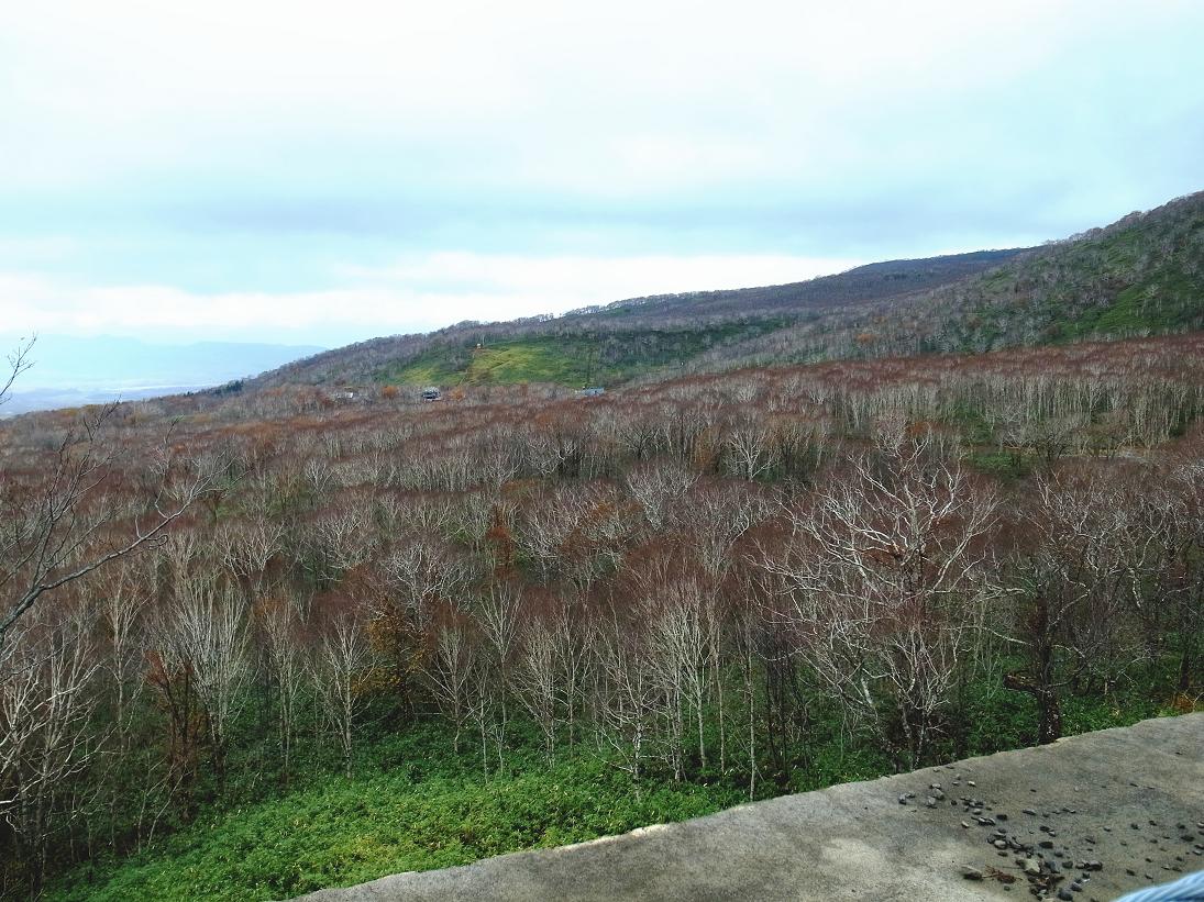 f0149057_11265894.jpg
