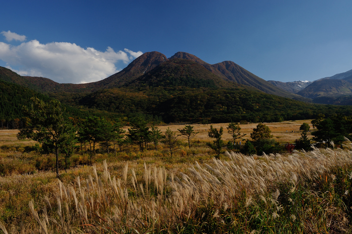 e0264158_2175387.jpg