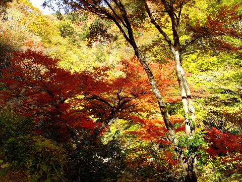 e0088260_22404281.jpg