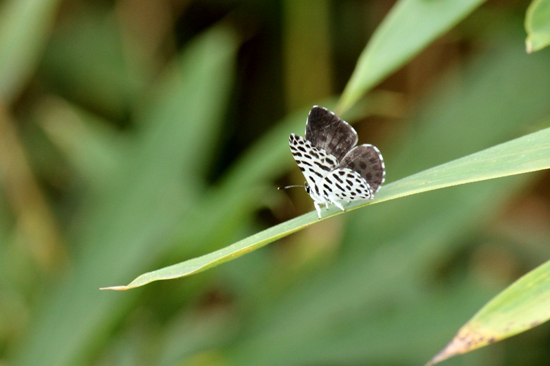 b0088772_6591548.jpg